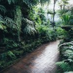 pexels-photo-1701893